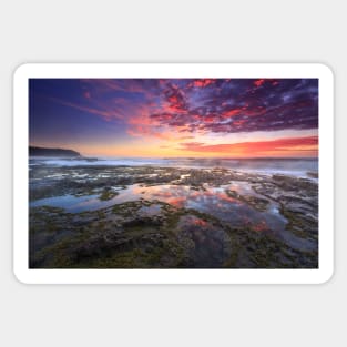 Wamberal Beach sunrise Sticker